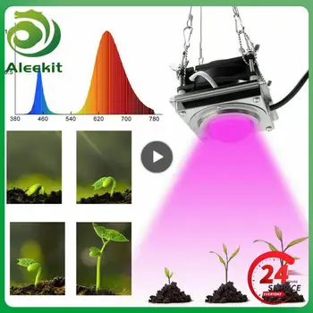 Фито-лампа Goodland с Полным спектром 220 В, светодиодная лампа для выращивания растений, Фитолампа Для Комнатных Саженцев, Цветочная Фитолампия, коробка для палатки